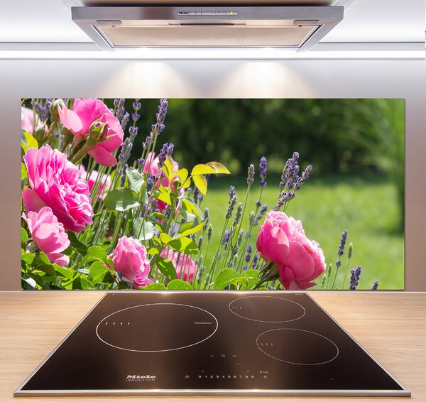 Dekorační panel sklo Díková růže pksh-86194342