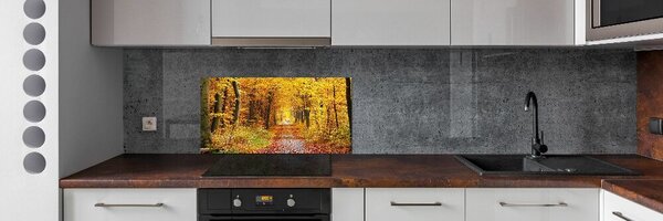 Dekorační panel sklo Podzimní les pksh-86844242