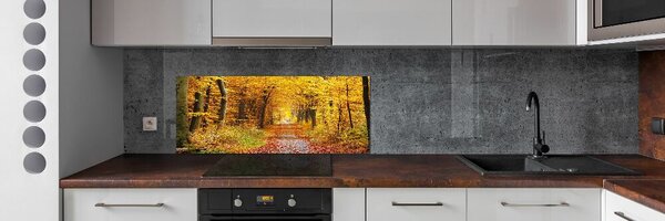 Dekorační panel sklo Podzimní les pksh-86844242