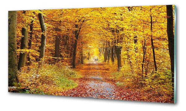 Dekorační panel sklo Podzimní les pksh-86844242