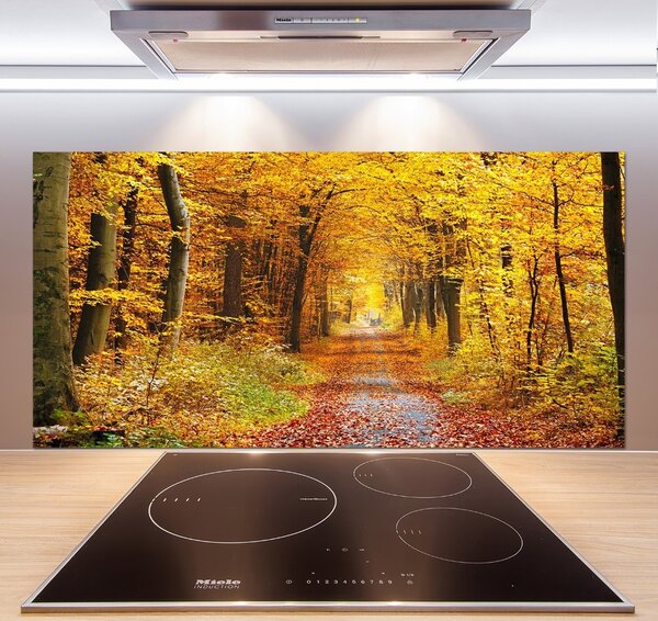 Dekorační panel sklo Podzimní les pksh-86844242