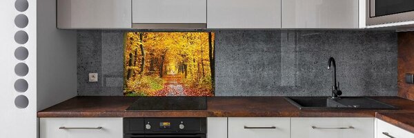 Dekorační panel sklo Podzimní les pksh-86844242