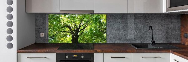 Dekorační panel sklo Zelený les pksh-86959394