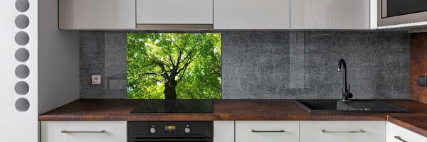 Dekorační panel sklo Zelený les pksh-86959394