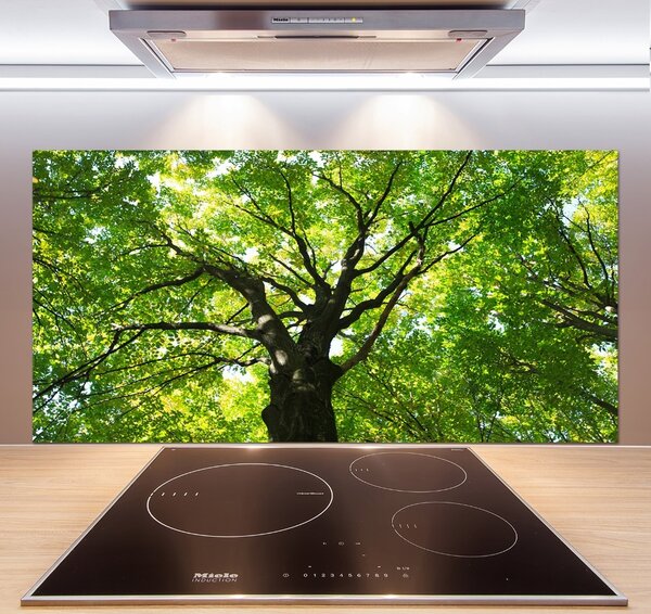 Dekorační panel sklo Zelený les pksh-86959394
