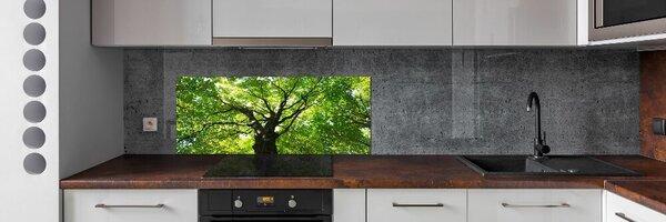 Dekorační panel sklo Zelený les pksh-86959394