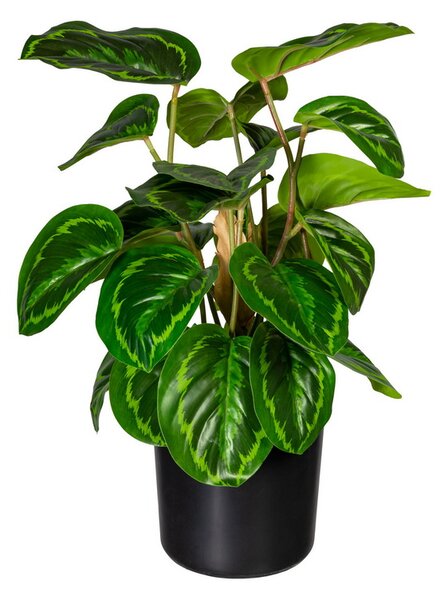 Maranta 24 listů, 45cm (umělá rostlina)