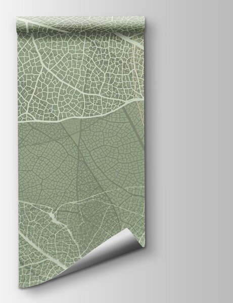 Fototapeta Jemné vzory přírodního designu, Přírodní fototapety, Populární fototapety, w02520 - Tapeko.co.cz