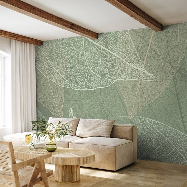 Fototapeta Jemné vzory přírodního designu, Přírodní fototapety, Populární fototapety, w02520 - Tapeko.co.cz