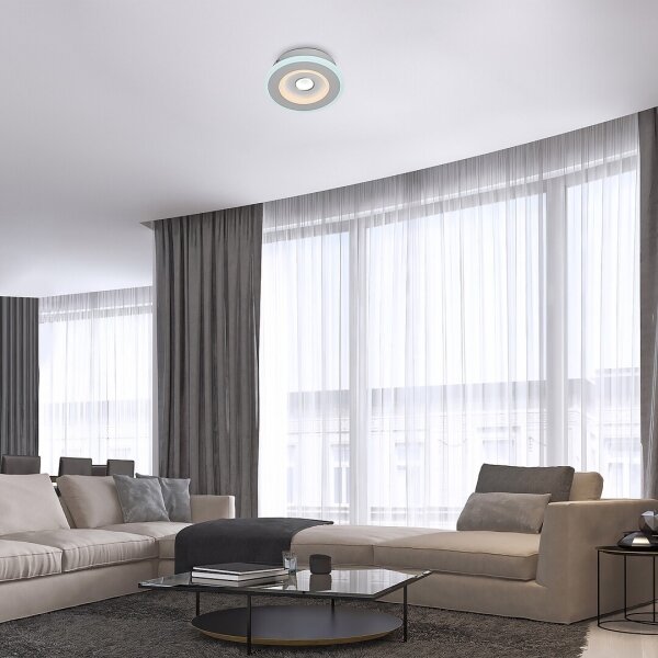 Rabalux 6959 - LED Stropní svítidlo TANELI LED/20W/230V 3000/4000/6000K