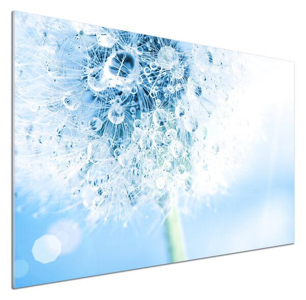 Dekorační panel sklo Pampeliška pksh-87595750
