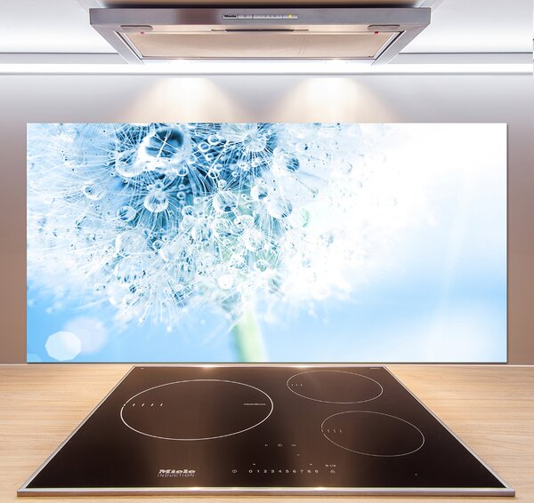 Dekorační panel sklo Pampeliška pksh-87595750