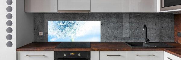 Dekorační panel sklo Pampeliška pksh-87595750