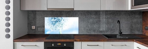 Dekorační panel sklo Pampeliška pksh-87595750