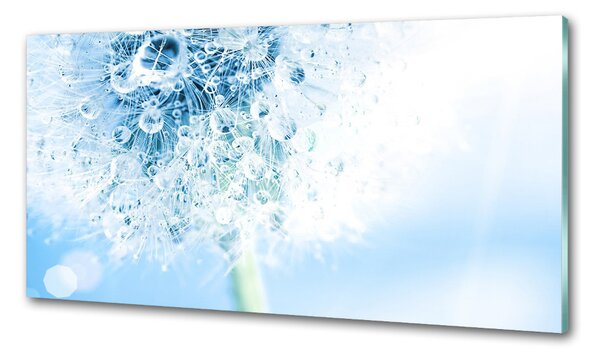 Dekorační panel sklo Pampeliška pksh-87595750