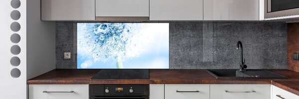 Dekorační panel sklo Pampeliška pksh-87595750