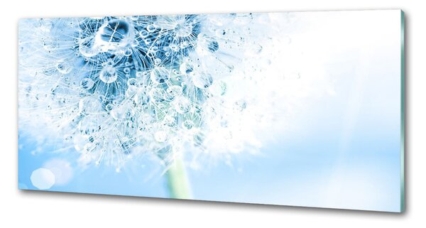 Dekorační panel sklo Pampeliška pksh-87595750