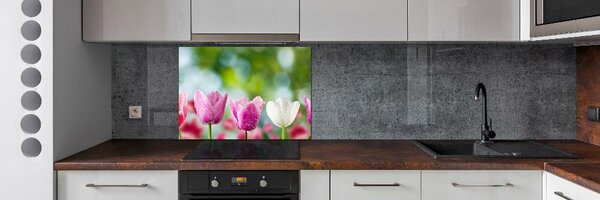 Skleněný panel do kuchynské linky Tulipány pksh-88763928