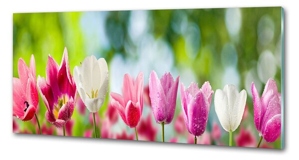Skleněný panel do kuchynské linky Tulipány pksh-88763928