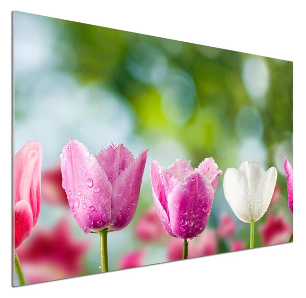 Skleněný panel do kuchynské linky Tulipány pksh-88763928