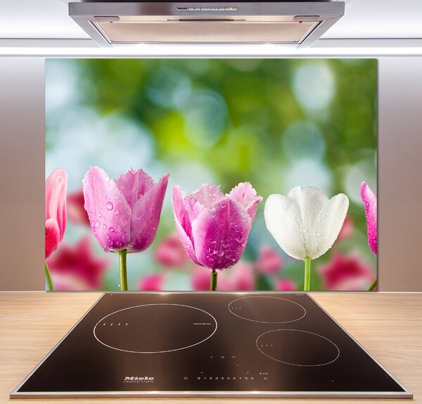 Skleněný panel do kuchynské linky Tulipány pksh-88763928