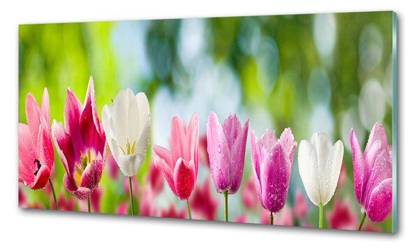 Skleněný panel do kuchynské linky Tulipány pksh-88763928