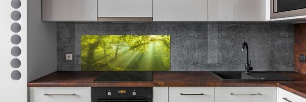 Dekorační panel sklo Les slunce pksh-88868942