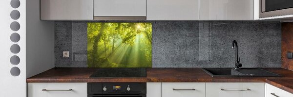 Dekorační panel sklo Les slunce pksh-88868942