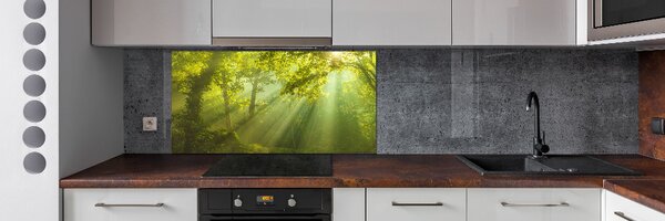 Dekorační panel sklo Les slunce pksh-88868942