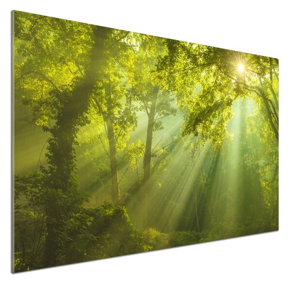 Dekorační panel sklo Les slunce pksh-88868942