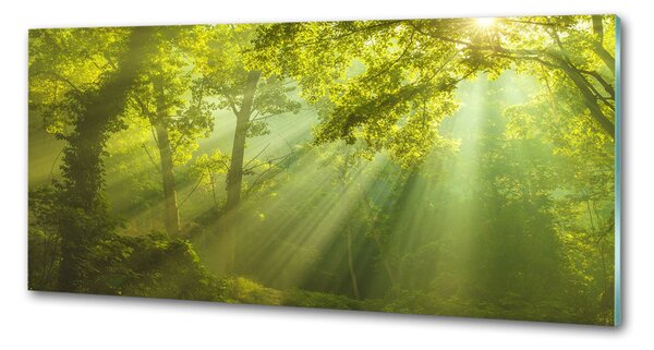 Dekorační panel sklo Les slunce pksh-88868942