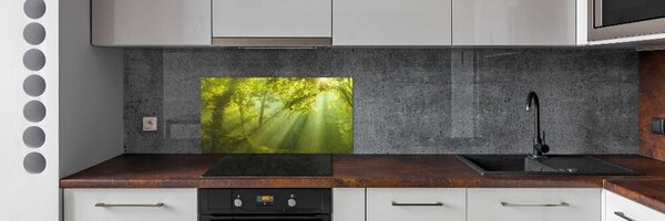 Dekorační panel sklo Les slunce pksh-88868942