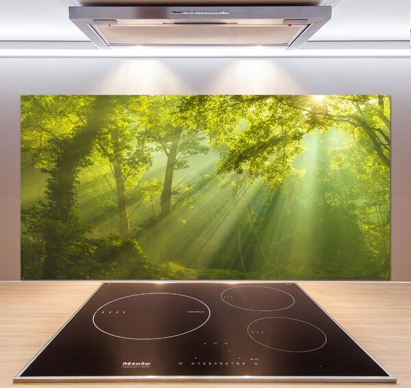 Dekorační panel sklo Les slunce pksh-88868942