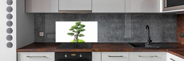Panel do kuchyně Bonsai pksh-88907159