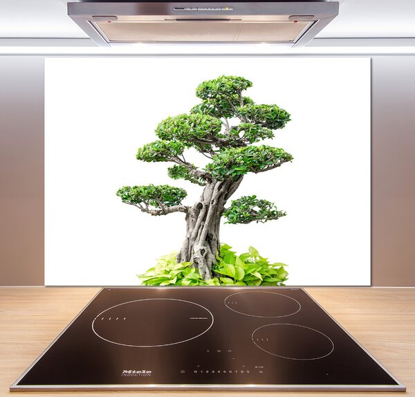 Panel do kuchyně Bonsai pksh-88907159