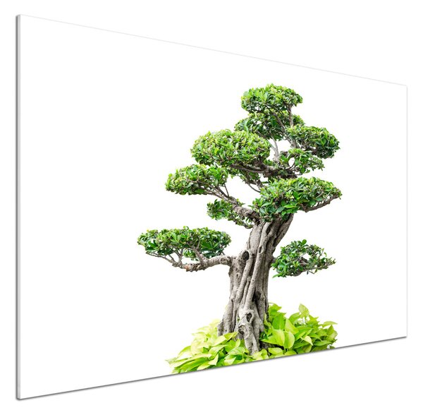 Panel do kuchyně Bonsai pksh-88907159