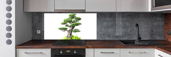 Panel do kuchyně Bonsai pksh-88907159