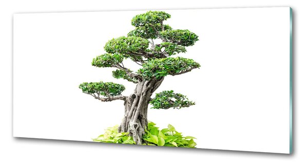 Panel do kuchyně Bonsai pksh-88907159