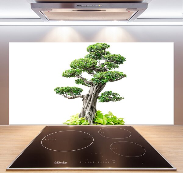 Panel do kuchyně Bonsai pksh-88907159