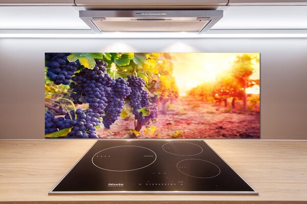 Skleněný panel do kuchynské linky Hrozny a víno pksh-89292664