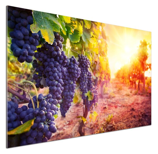 Skleněný panel do kuchynské linky Hrozny a víno pksh-89292664