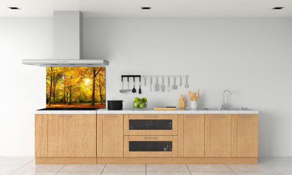 Dekorační panel sklo Podzimní les pksh-89529230