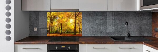 Dekorační panel sklo Podzimní les pksh-89529230