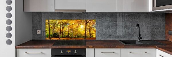 Dekorační panel sklo Podzimní les pksh-89529230