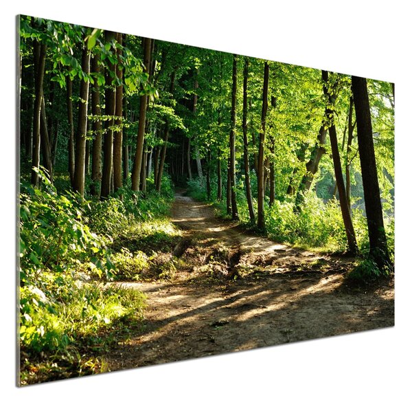 Panel do kuchyně Stezka na louce pksh-89440501