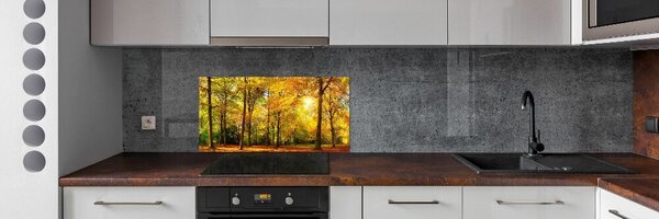 Dekorační panel sklo Podzimní les pksh-89529230