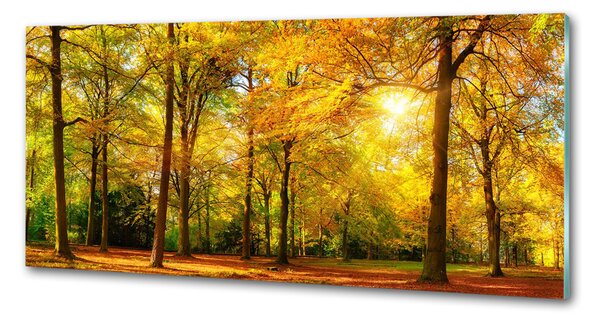 Dekorační panel sklo Podzimní les pksh-89529230
