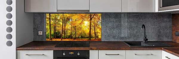 Dekorační panel sklo Podzimní les pksh-89529230