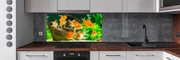 Dekorační panel sklo Zlaté rybky pksh-89540196