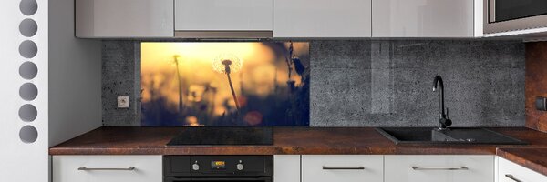 Dekorační panel sklo Pampeliška pksh-89791737